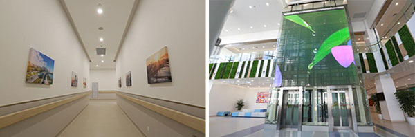 226370478206510163565628350.jpg 226370478206510163565628350.jpg