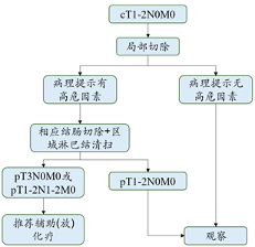 阿特蒙李進教授：讀懂結直腸癌TNM分期及對應的治療方案